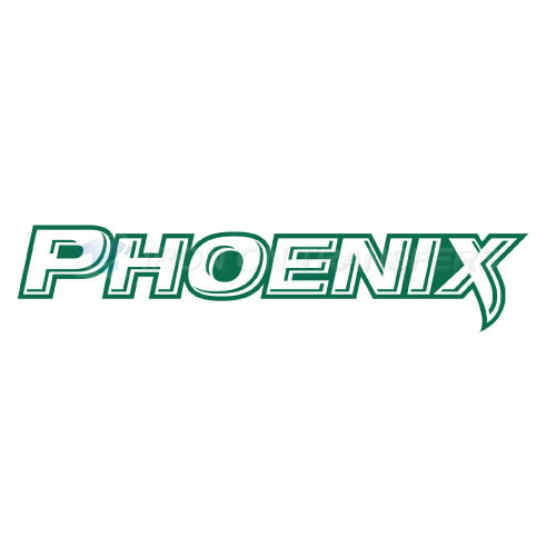 Wisconsin Green Bay Phoenix Iron-on Stickers (Heat Transfers)NO.7033